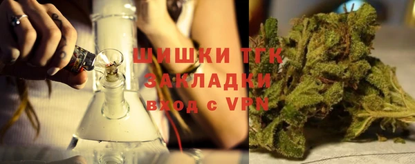 прущие грибы Дмитриев