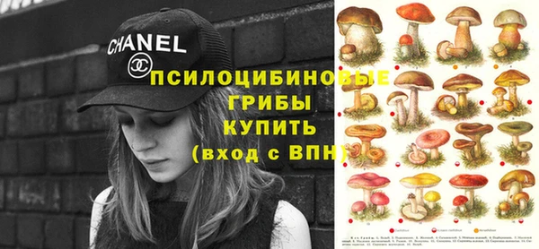 крисы Дмитров
