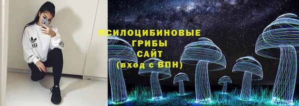 крисы Дмитров