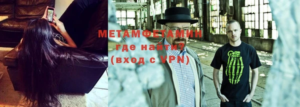 прущие грибы Дмитриев