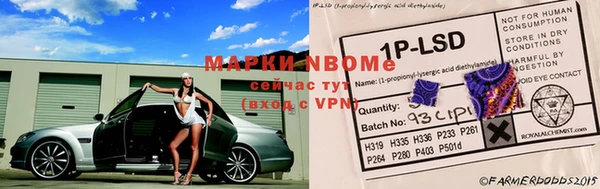 крисы Дмитров
