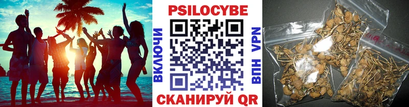 купить наркотик  Печоры  ОМГ ОМГ ссылки  Псилоцибиновые грибы прущие грибы 